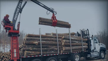 Skidder Shop logging